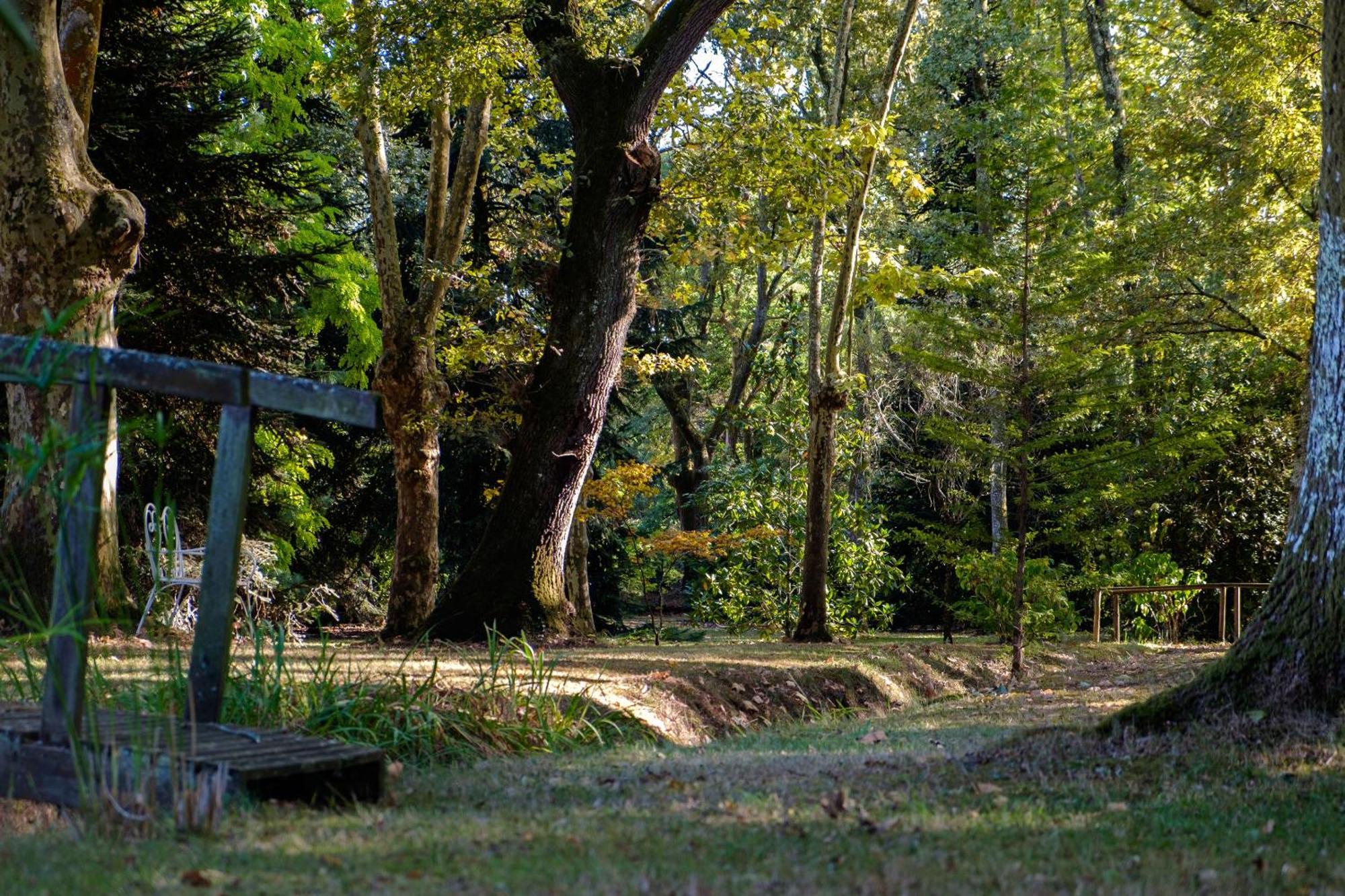 לינה וארוחת בוקר Saint-Paul-lès-Dax Parc De L'Aiguade מראה חיצוני תמונה