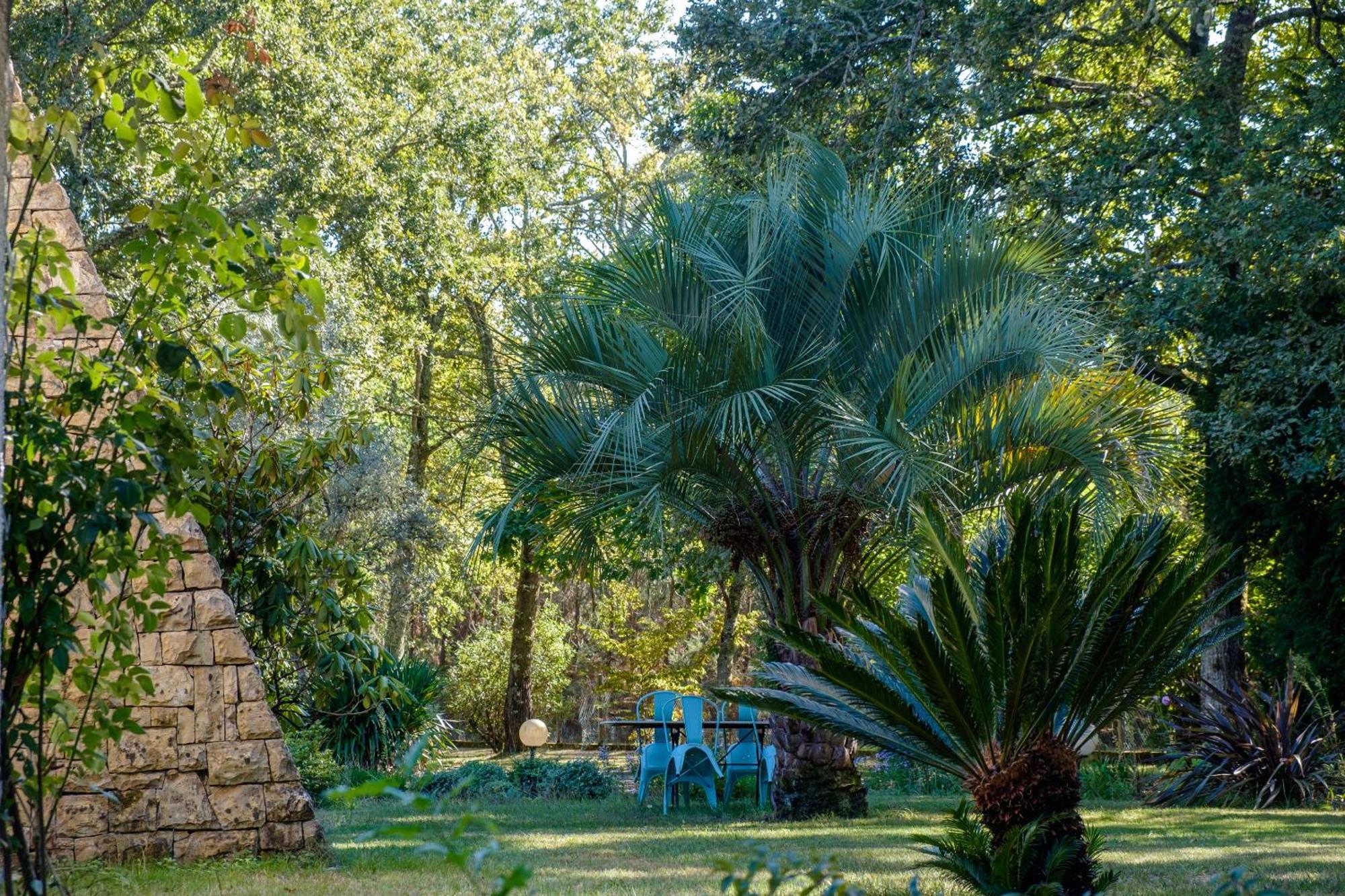 לינה וארוחת בוקר Saint-Paul-lès-Dax Parc De L'Aiguade מראה חיצוני תמונה
