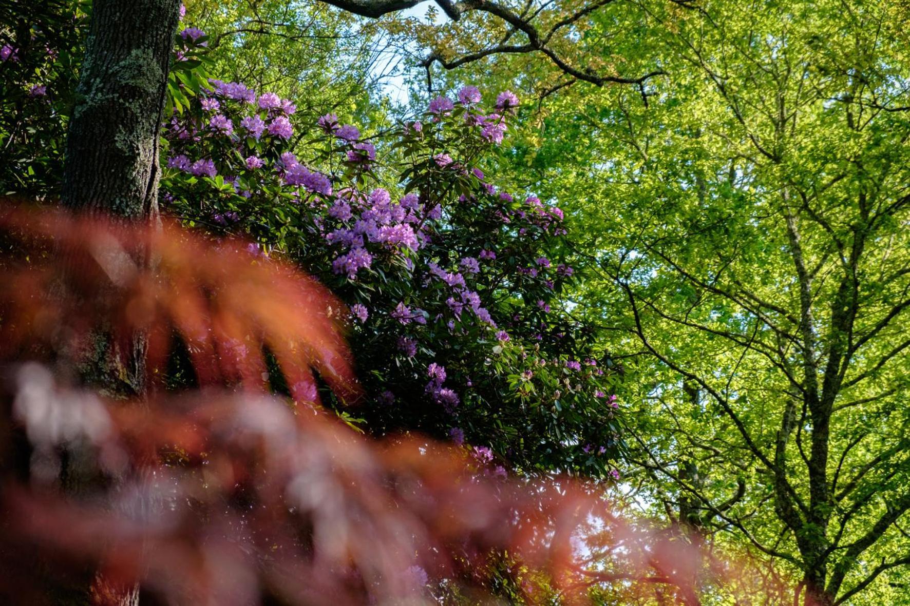 לינה וארוחת בוקר Saint-Paul-lès-Dax Parc De L'Aiguade מראה חיצוני תמונה