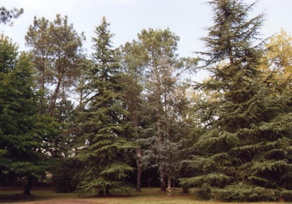 לינה וארוחת בוקר Saint-Paul-lès-Dax Parc De L'Aiguade מראה חיצוני תמונה